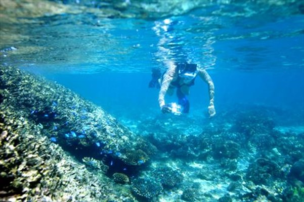 Tourism - Snorkelling Ningaloo