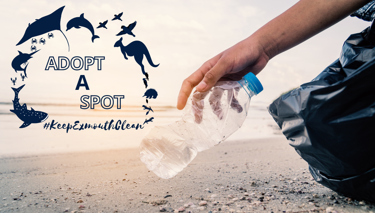 Adopt a spot to keep Exmouth clean