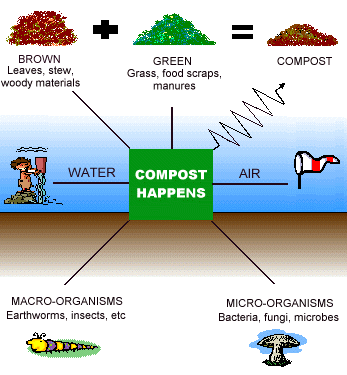 How Compost Happens