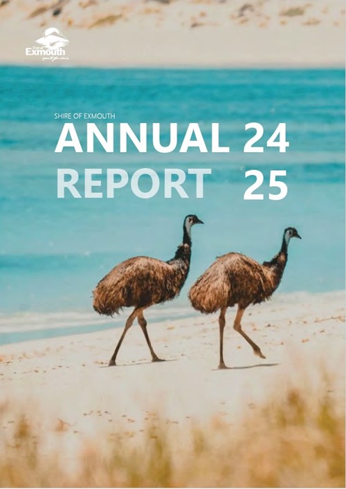 Annual Report 2024-25
