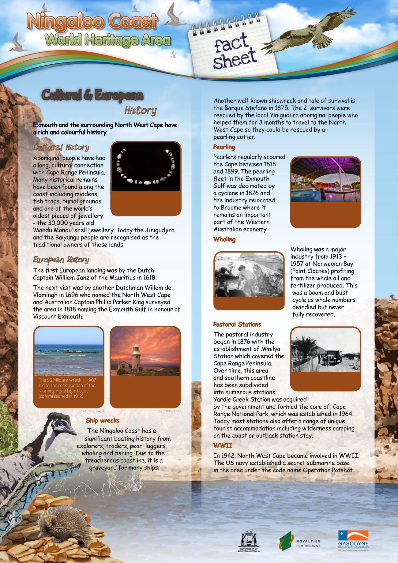 Page Background